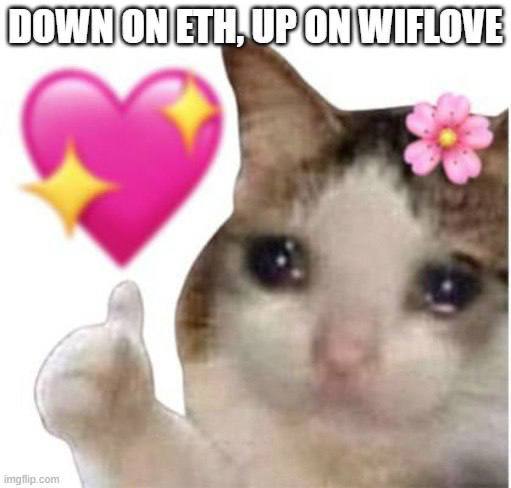 photo_2025-02-03_15-52-52