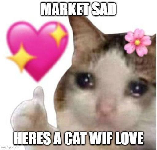 photo_2025-02-03_15-52-53 (2)